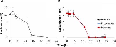 Comparison of Nitrate and Perchlorate in Controlling Sulfidogenesis in Heavy Oil-Containing Bioreactors